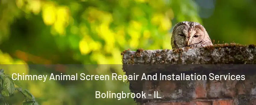  Chimney Animal Screen Repair And Installation Services Bolingbrook - IL