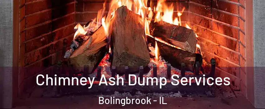  Chimney Ash Dump Services Bolingbrook - IL
