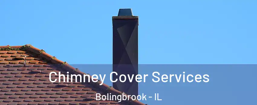  Chimney Cover Services Bolingbrook - IL
