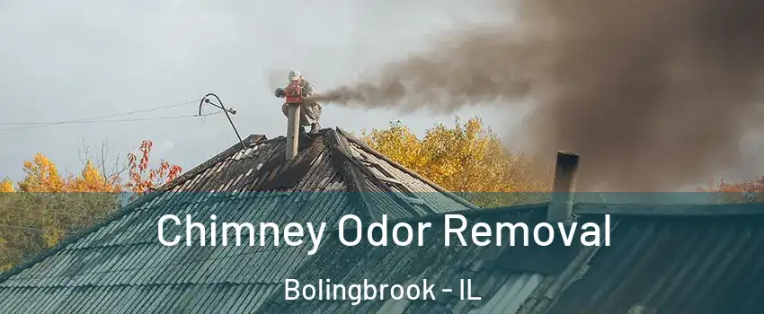  Chimney Odor Removal Bolingbrook - IL
