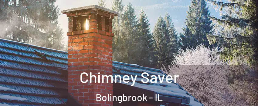  Chimney Saver Bolingbrook - IL