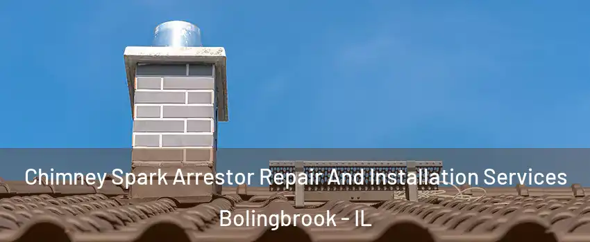  Chimney Spark Arrestor Repair And Installation Services Bolingbrook - IL