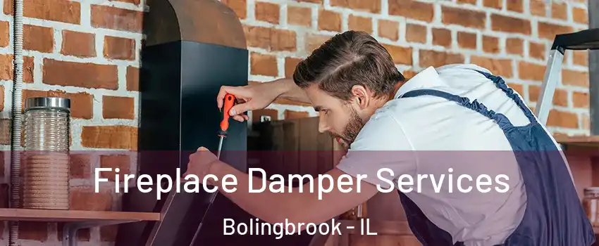  Fireplace Damper Services Bolingbrook - IL