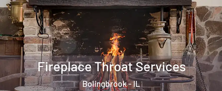  Fireplace Throat Services Bolingbrook - IL