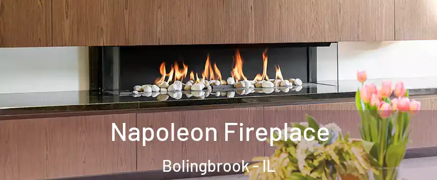  Napoleon Fireplace Bolingbrook - IL