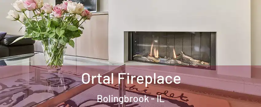 Ortal Fireplace Bolingbrook - IL